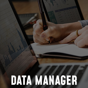 Data_manager_eng.jpg